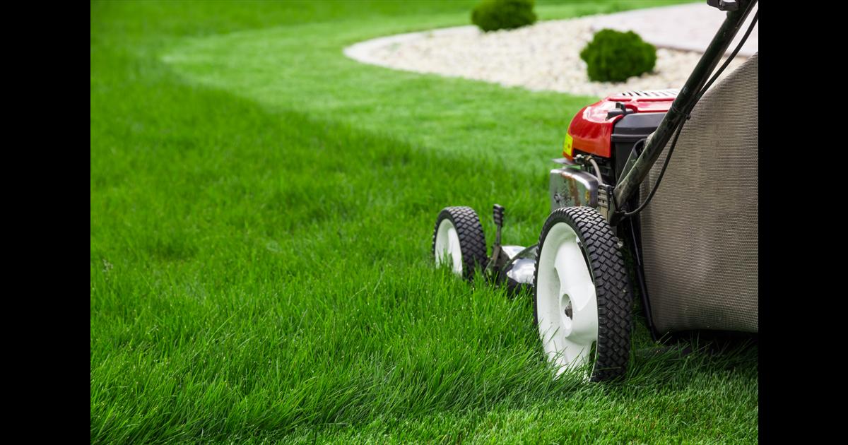 NFIB Tennessee Member Profile Green Blade Lawn Care NFIB